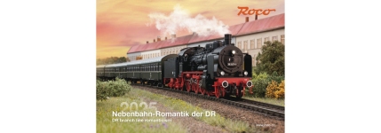 Roco 4100013 - H0 - ROCO Flyer Nebenbahn Romantik bei der DR